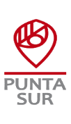 Punta Sur